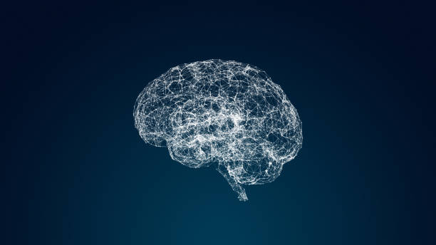neuropsychologist professional website